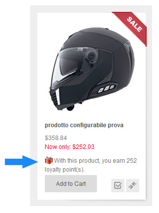 loyalty points product